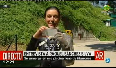 Raquel Sánchez Silva: un circo mediático
